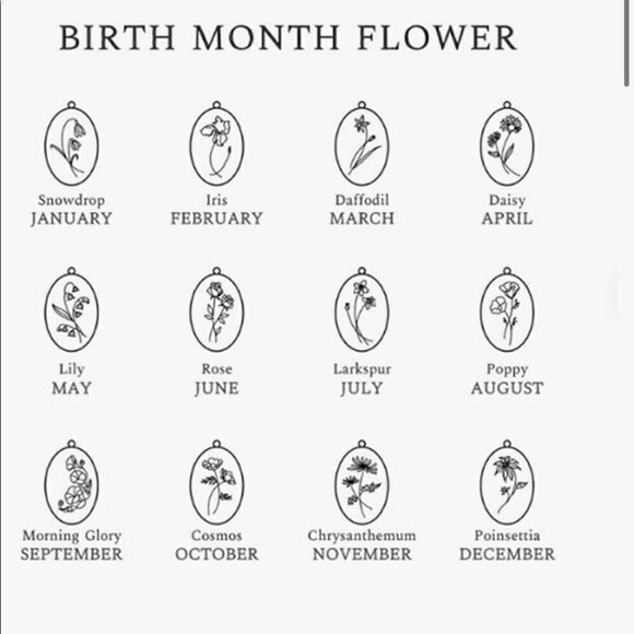 Monooc September Morning Glory Girls/ Woman’s birth month Necklace - Picture 3 of 3